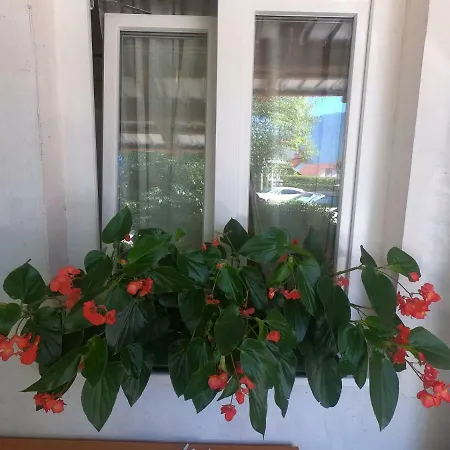 Διαμέρισμα Fontana