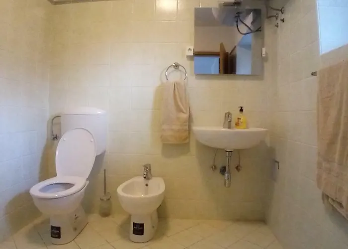 Διαμέρισμα Fontana Bovec