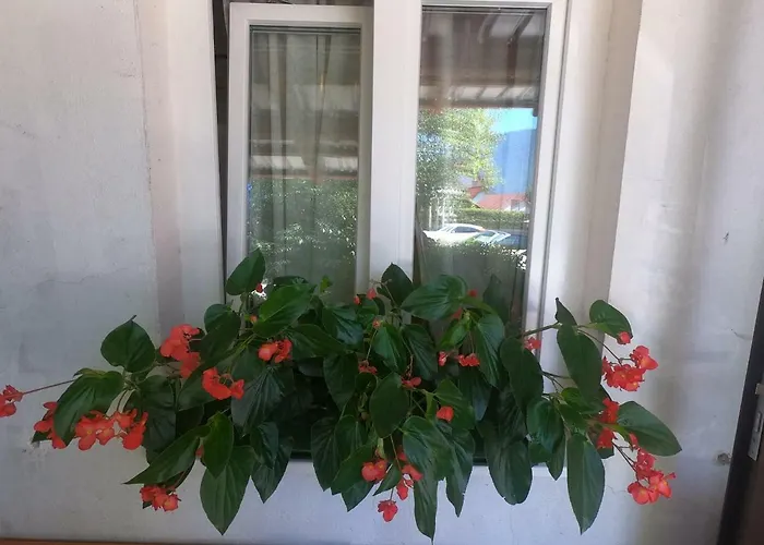 Διαμέρισμα Fontana